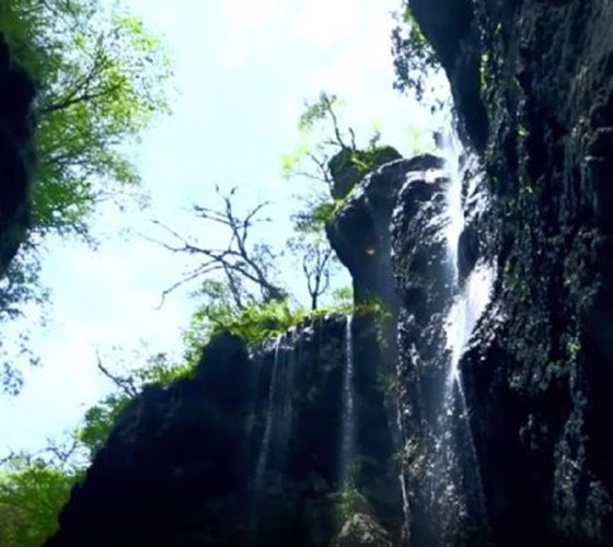 青山綠水，白龍江畔江畔息白鷺，兩岸綠橄欖入眼的都是純樸自然枝上花開(kāi)，春來(lái)水暖魚(yú)蝦戲水，鳥(niǎo)語(yǔ)花香心中充滿(mǎn)著舒暢之感祥宇生態(tài)產(chǎn)業(yè)園，位于隴南市武..